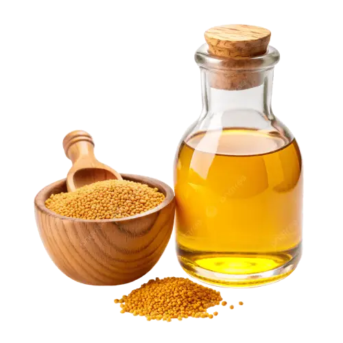 Oil Seeds