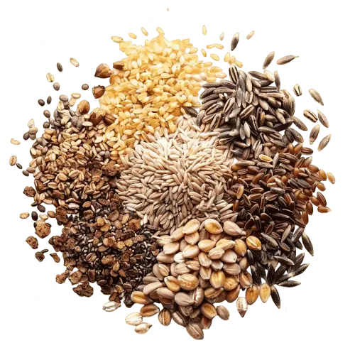 Grains