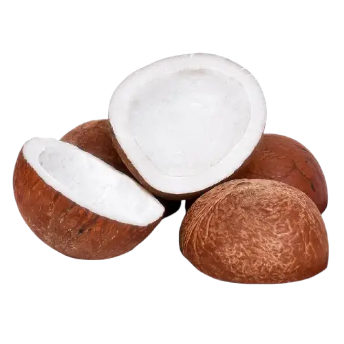 Coconut products