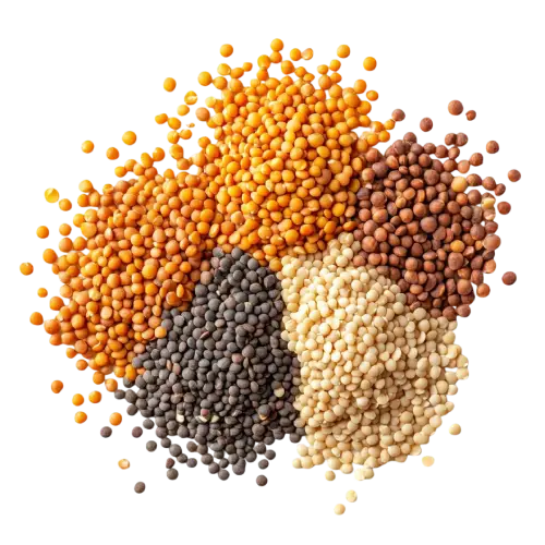 Pulses